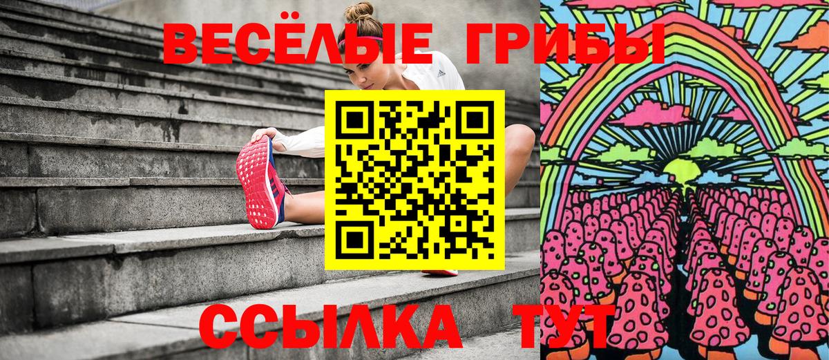 Галлюциногенные грибы Psilocybine cubensis  Вход с VPN  Галлюциногенные грибы Magic Shrooms  Свободный 