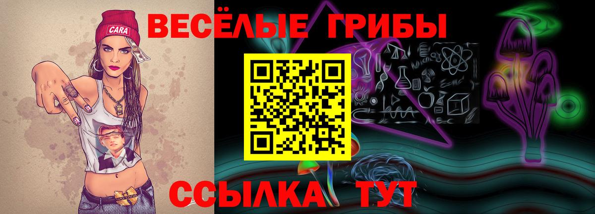 Галлюциногенные грибы Psilocybine cubensis Свободный